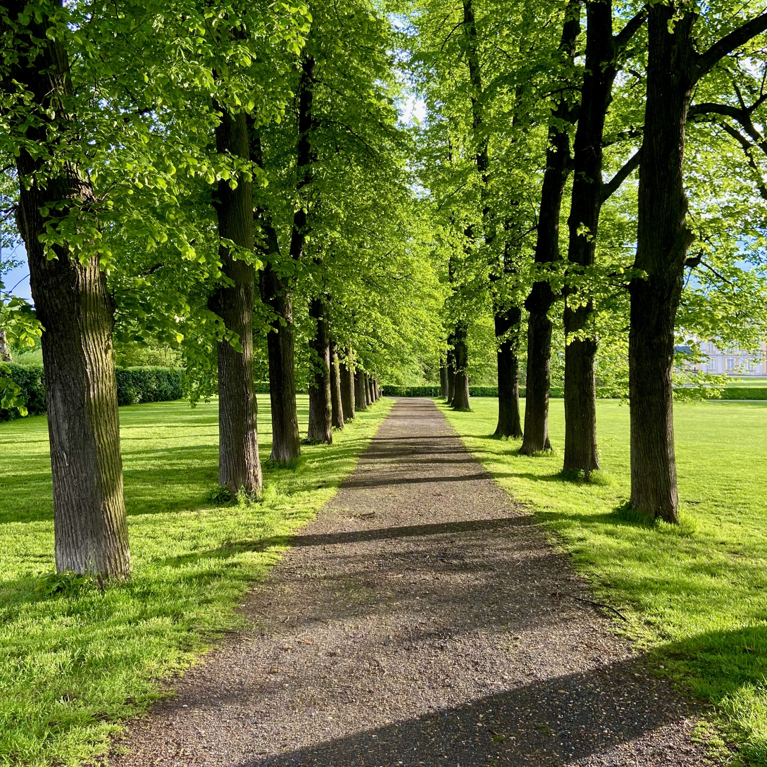 Collectivités Albert Espace Vert Ets Glaçon