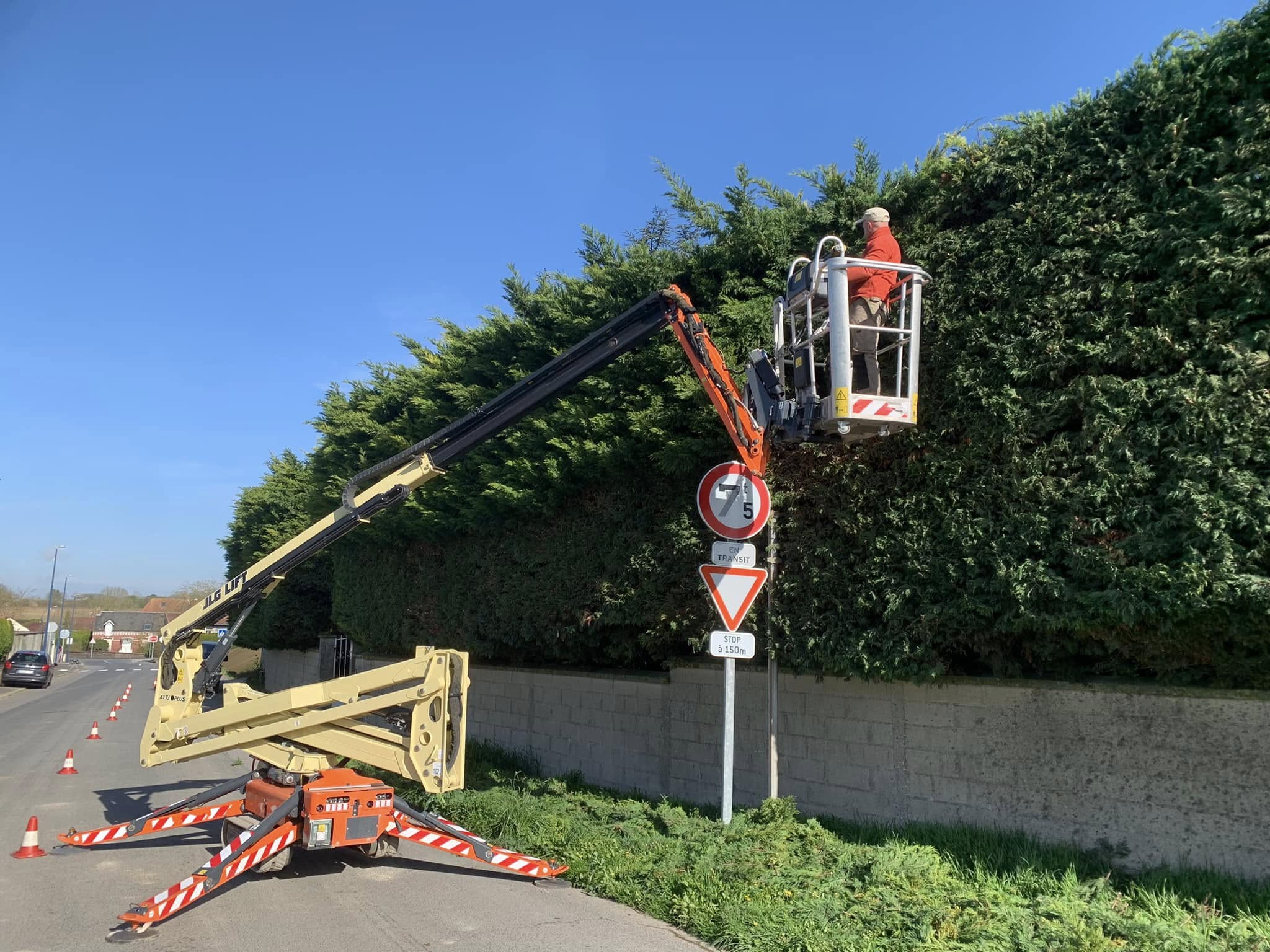 Expertise Arboricole